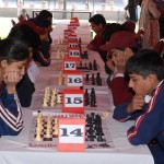Chess Warriors thinking hard to beat their opponents.